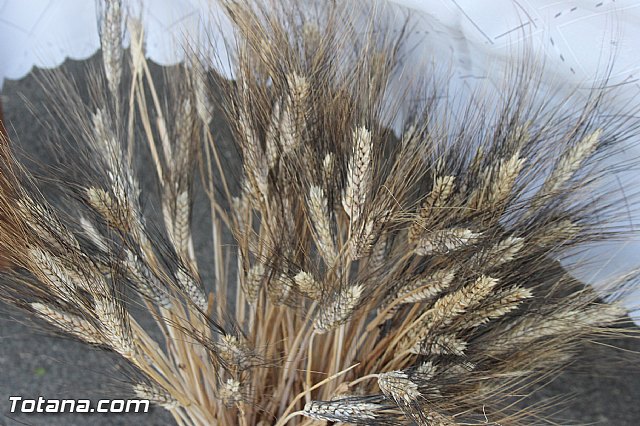 Procesin Virgen de la Paloma 2013 - 153