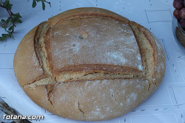 Procesin Virgen de la Paloma 2013 - 155