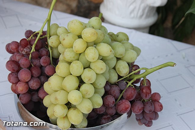 Procesin Virgen de la Paloma 2013 - 156