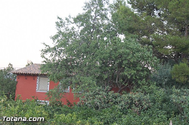 Procesin Virgen de la Paloma 2013 - 168