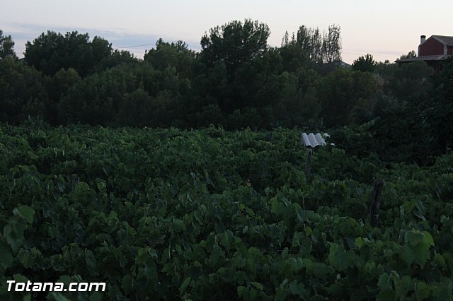 Procesin Virgen de la Paloma 2013 - 191