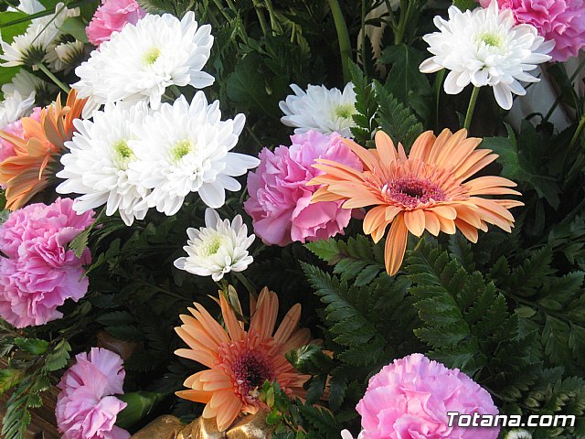 Misa de campaa y Procesin Fiestas de la Paloma 2014 - 69