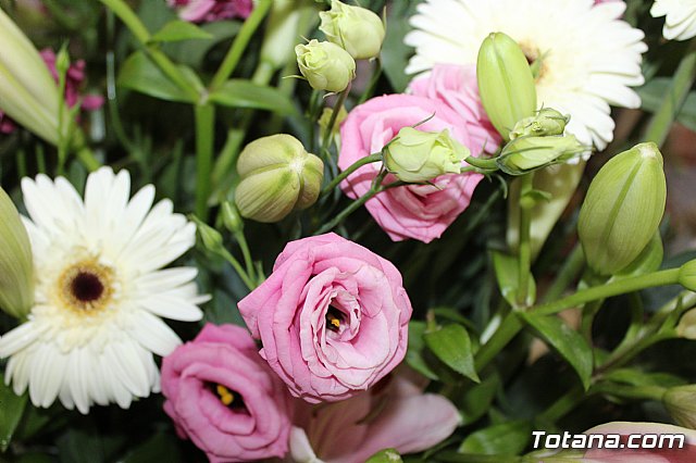 Procesin las Lomas de la Cruz (El  Paretn) 2019 - 18