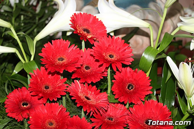 Procesin las Lomas de la Cruz (El  Paretn) 2019 - 21