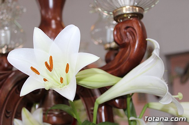 Procesin las Lomas de la Cruz (El  Paretn) 2019 - 22