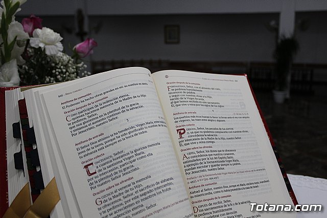 Procesin las Lomas de la Cruz (El  Paretn) 2019 - 194