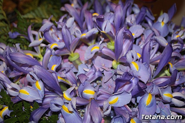 Viernes Santo 2019 - 58