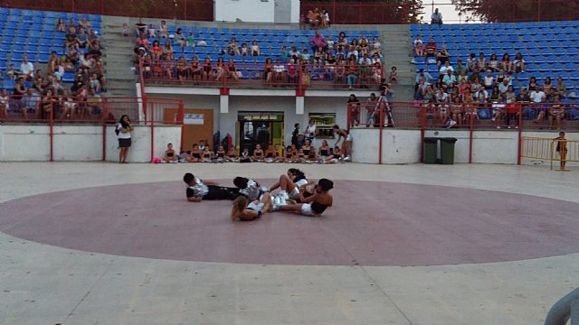 Exhibicin de patinaje artstico - Fiestas de Santiago 2015 - 81