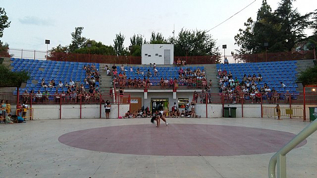 Exhibicin de patinaje artstico - Fiestas de Santiago 2015 - 86