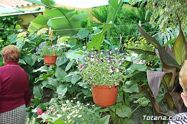 Visita a patios - Asociacin Sociocultural de la Mujer - Mayo 2017 - 18