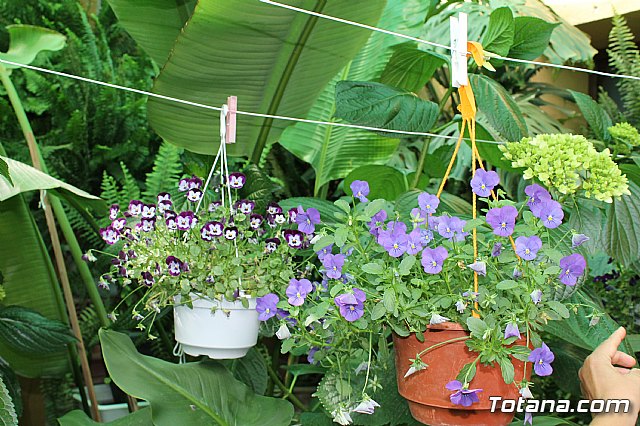 Visita a patios - Asociacin Sociocultural de la Mujer - Mayo 2017 - 19