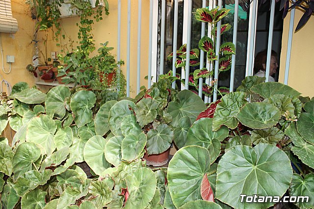 Visita a patios - Asociacin Sociocultural de la Mujer - Mayo 2017 - 20
