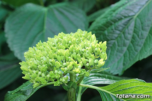 Visita a patios - Asociacin Sociocultural de la Mujer - Mayo 2017 - 33