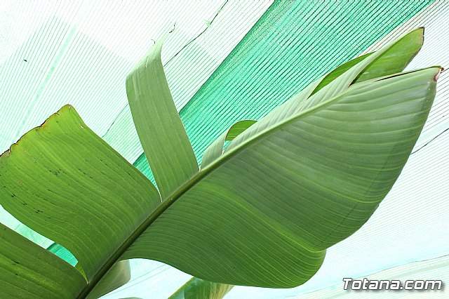 Visita a patios - Asociacin Sociocultural de la Mujer - Mayo 2017 - 35