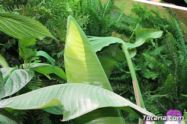 Visita a patios - Asociacin Sociocultural de la Mujer - Mayo 2017 - 36