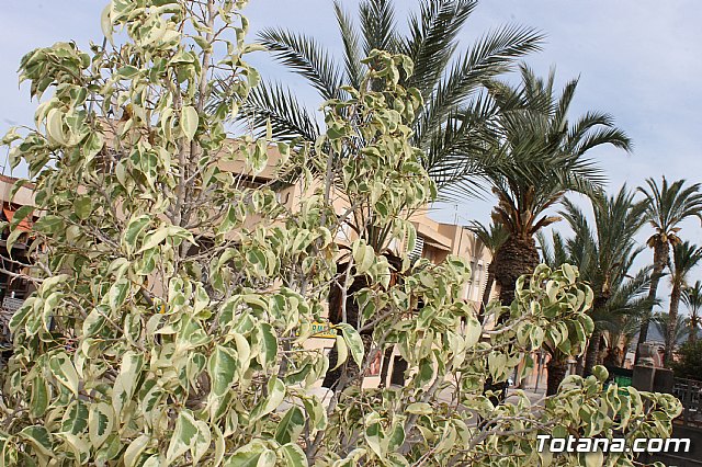Visita a patios - Asociacin Sociocultural de la Mujer - Mayo 2017 - 46