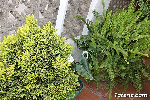 Visita a patios - Asociacin Sociocultural de la Mujer - Mayo 2017 - 48