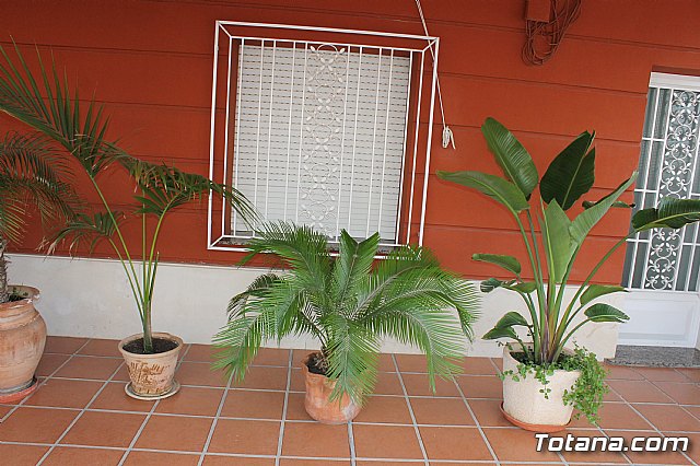 Visita a patios - Asociacin Sociocultural de la Mujer - Mayo 2017 - 49