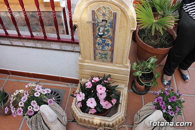 Visita a patios - Asociacin Sociocultural de la Mujer - Mayo 2017 - 55