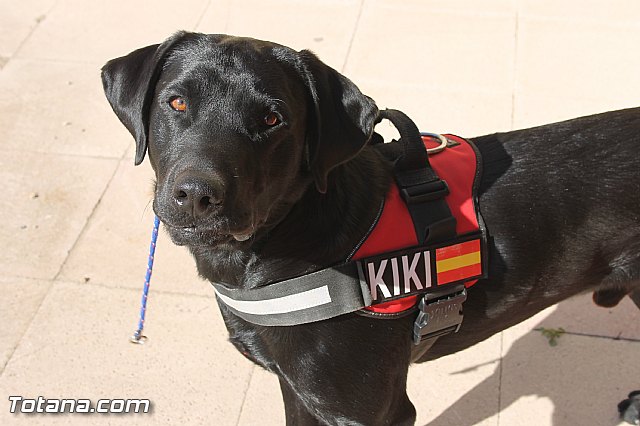 La Comisin Nacional de Proteccin Civil homologa la revisin de los planes regionales de emergencias ante terremotos e incendios forestales - 4