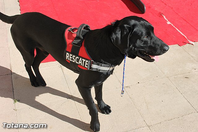 La Comisin Nacional de Proteccin Civil homologa la revisin de los planes regionales de emergencias ante terremotos e incendios forestales - 5