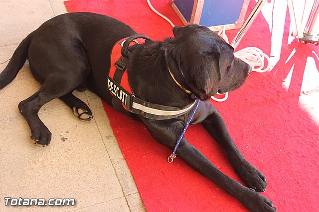 La Comisin Nacional de Proteccin Civil homologa la revisin de los planes regionales de emergencias ante terremotos e incendios forestales - 9