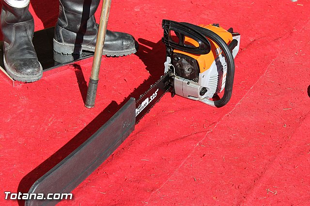 La Comisin Nacional de Proteccin Civil homologa la revisin de los planes regionales de emergencias ante terremotos e incendios forestales - 12