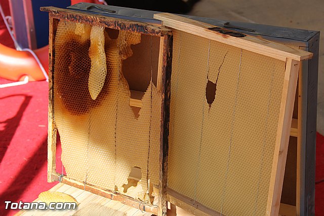 La Comisin Nacional de Proteccin Civil homologa la revisin de los planes regionales de emergencias ante terremotos e incendios forestales - 17