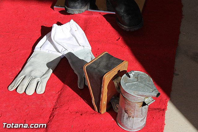 La Comisin Nacional de Proteccin Civil homologa la revisin de los planes regionales de emergencias ante terremotos e incendios forestales - 19