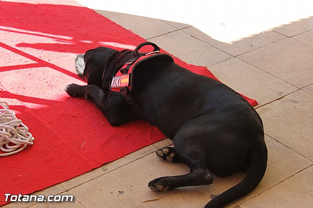 La Comisin Nacional de Proteccin Civil homologa la revisin de los planes regionales de emergencias ante terremotos e incendios forestales - 70