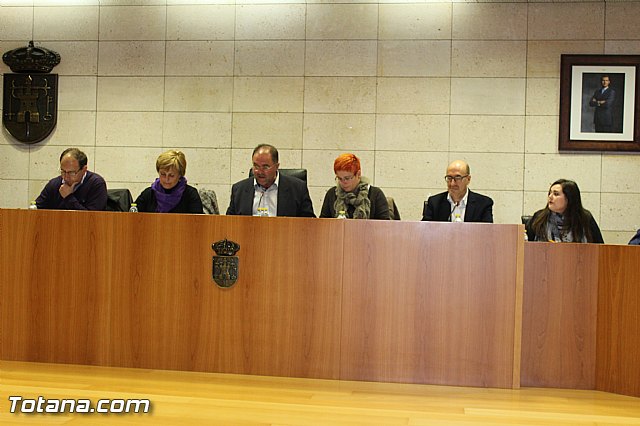Pleno ordinario diciembre 2015 - 1