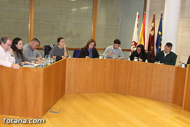 Pleno ordinario diciembre 2015 - 2