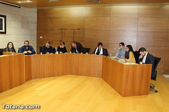 Pleno ordinario diciembre 2015 - 4