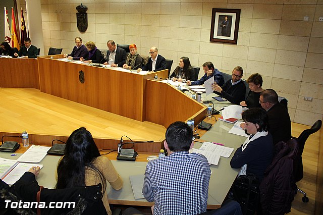 Pleno ordinario diciembre 2015 - 6