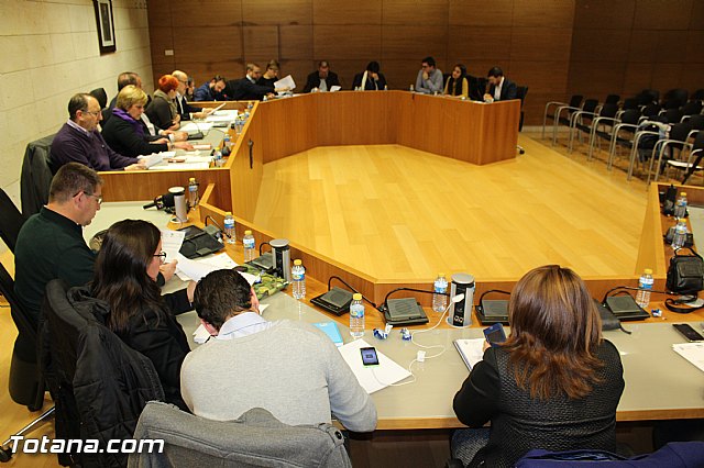 Pleno ordinario diciembre 2015 - 7