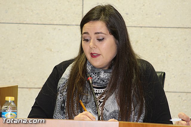 Pleno ordinario diciembre 2015 - 9