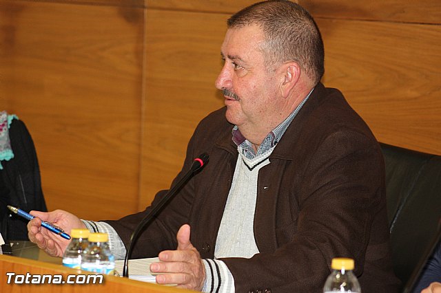 Pleno ordinario diciembre 2015 - 10