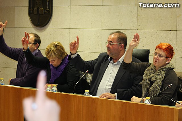 Pleno ordinario diciembre 2015 - 12