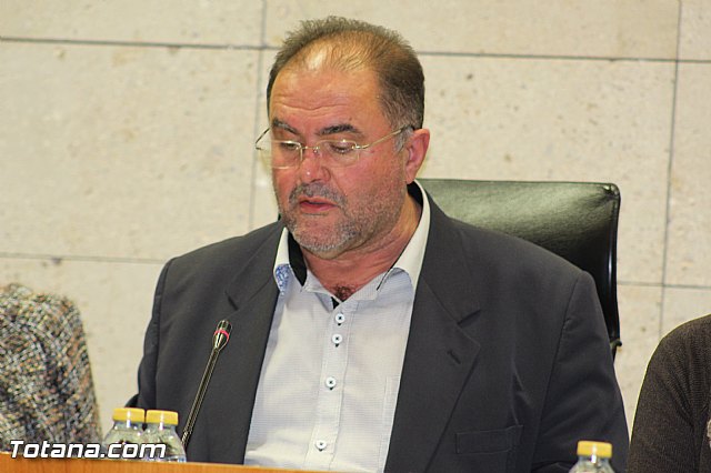 Pleno ordinario diciembre 2015 - 13