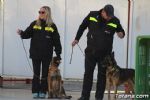 perros