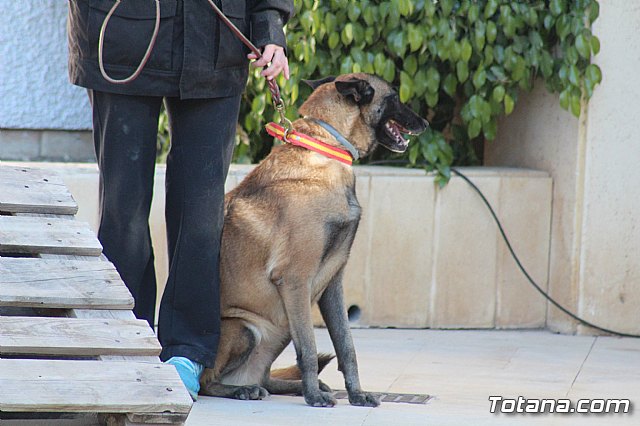 I Exhibicin Canina de Perros Detectores  - 11
