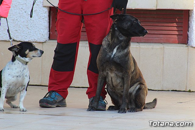 I Exhibicin Canina de Perros Detectores  - 12