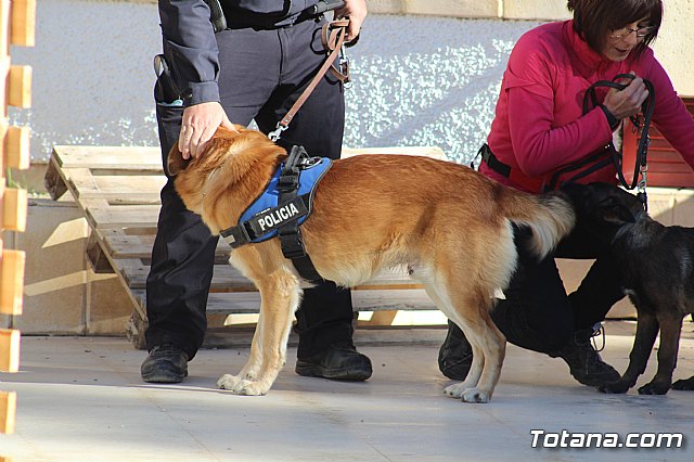 I Exhibicin Canina de Perros Detectores  - 16