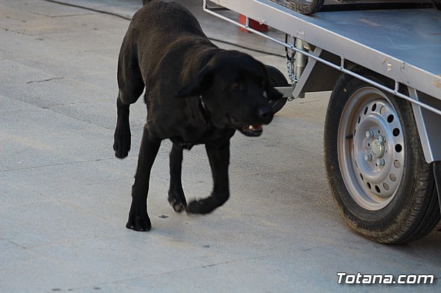 I Exhibicin Canina de Perros Detectores  - 33