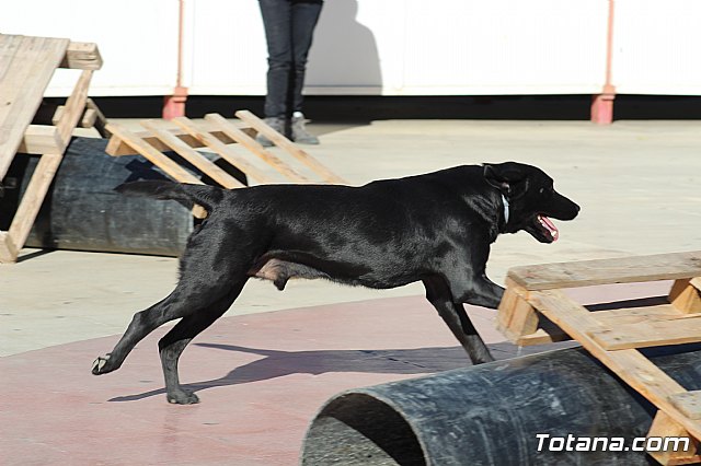 I Exhibicin Canina de Perros Detectores  - 34