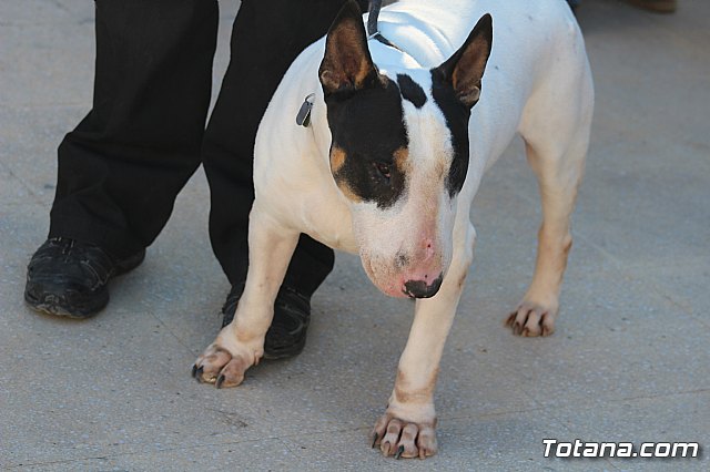 I Exhibicin Canina de Perros Detectores  - 40
