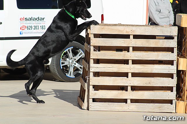 I Exhibicin Canina de Perros Detectores  - 55