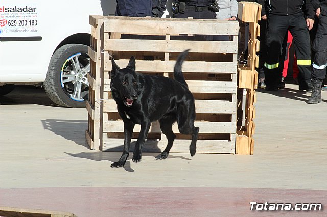 I Exhibicin Canina de Perros Detectores  - 65