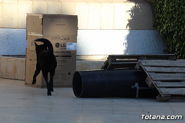 I Exhibicin Canina de Perros Detectores  - 68