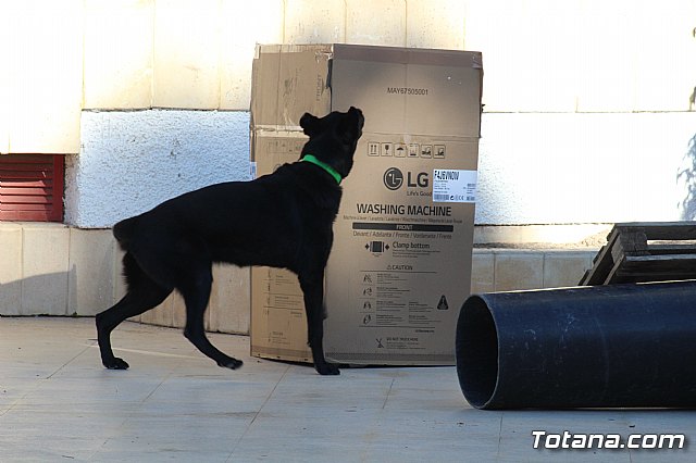 I Exhibicin Canina de Perros Detectores  - 70